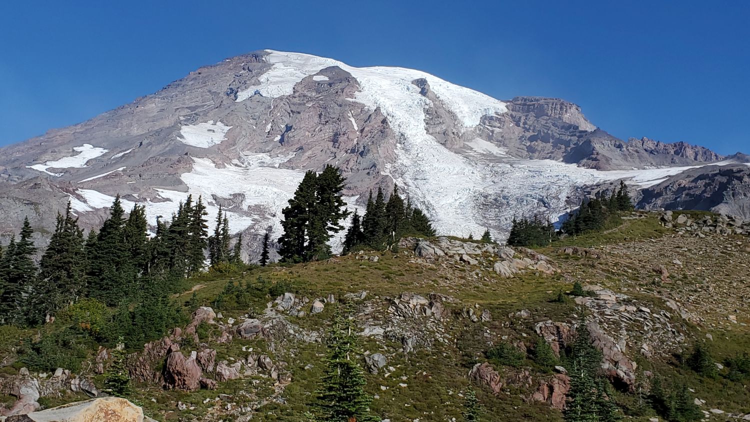 Mount Rainier NP 